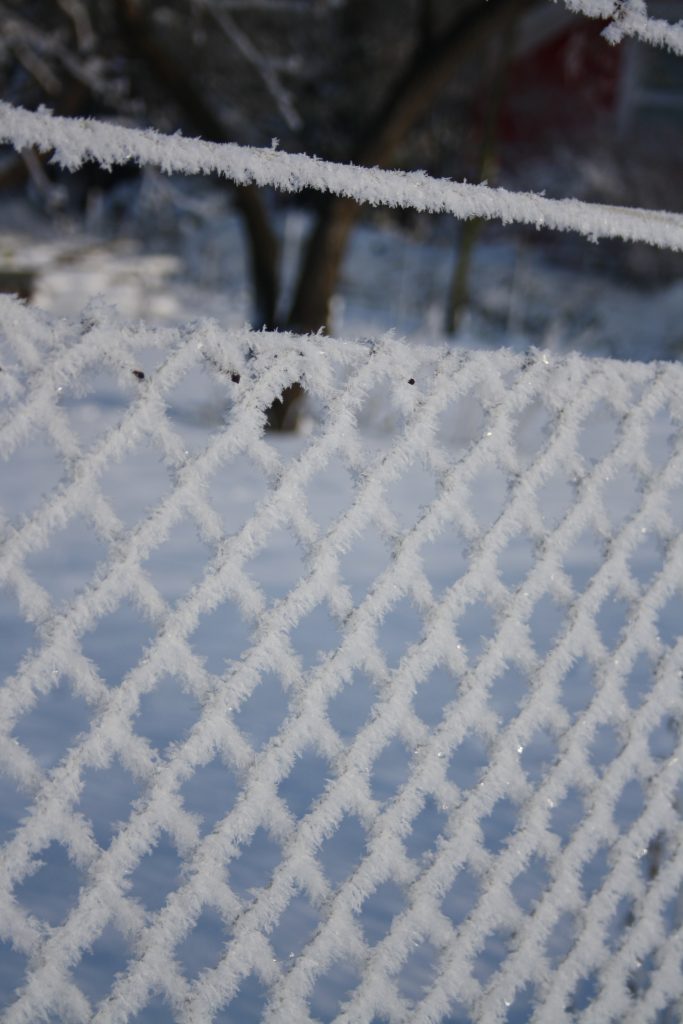 Ein gefrorener Zaun erstrahlt im winterlichen Mantel.